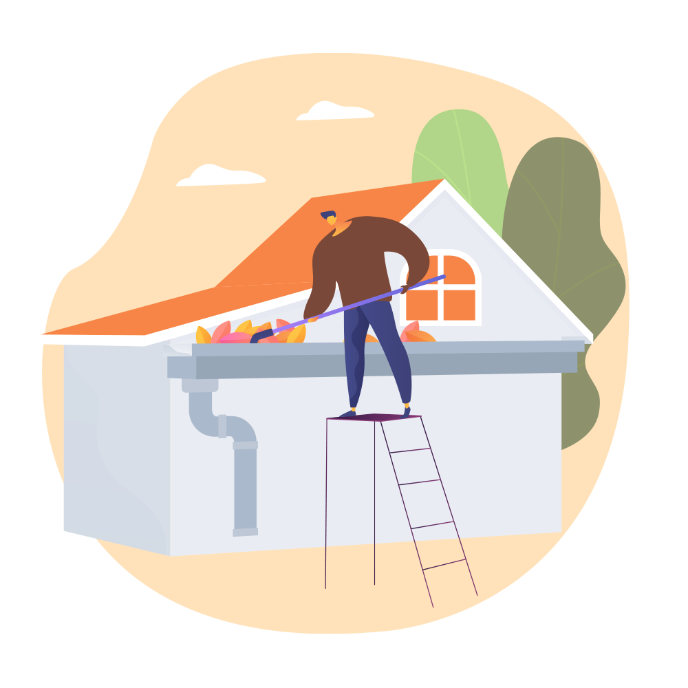 Telhado & Estruturas